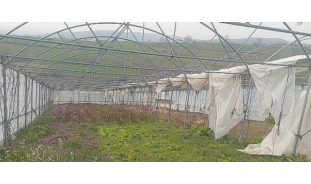 Büyükşehir'den seraları zarar gören üreticilere destek