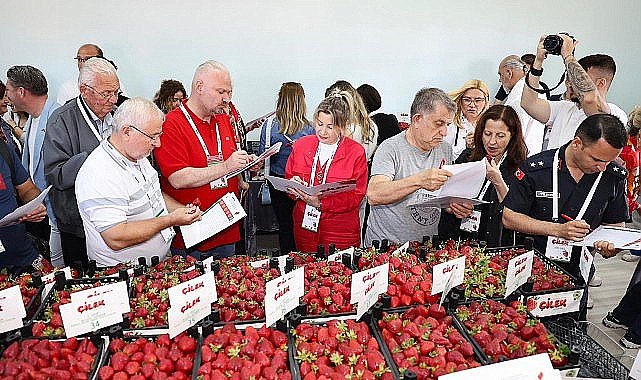 Çilek tadında festival, milyonu aşkın misafir ağırladı