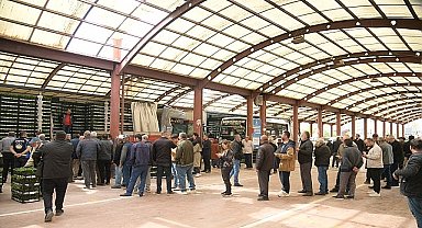 Kahramankazanlı Çiftçilere Fide Desteği Verildi