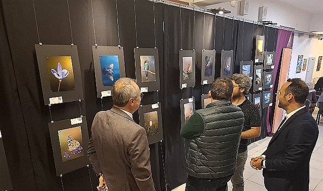 Kemer'de yıl sonu resim sergisi