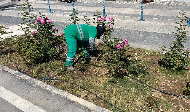Muğla Milas'ta bayram öncesi bakım