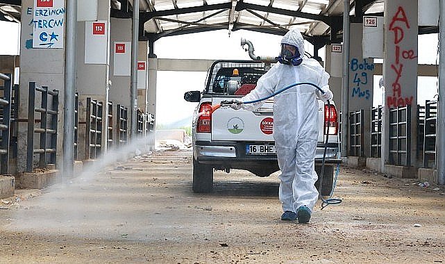Osmangazi'de Kurban Pazarları İlaçlanarak Dezenfekte Edildi