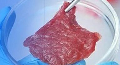 Tarım Bakanlığı'ndan 'yapay et' açıklaması... Türkiye'de üretim ve tüketime izin yok!