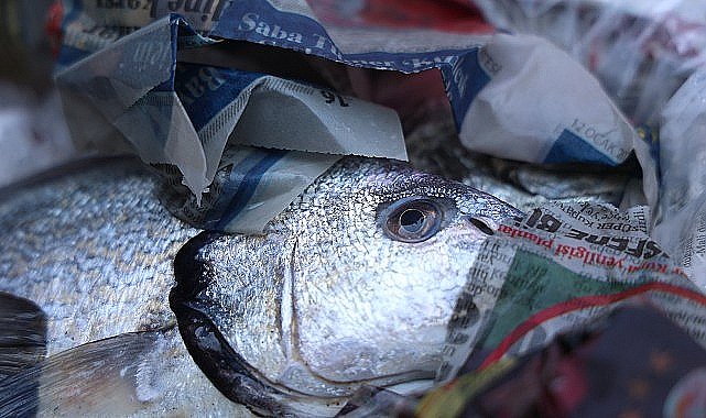 Antalya Otogarı'nda balık operasyonu