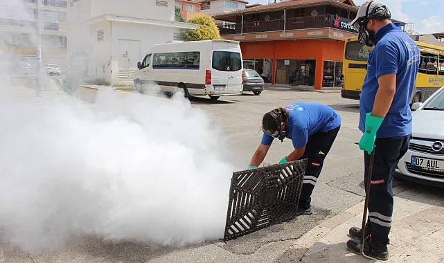 Antalya'da 19 ilçede yoğun vektörle mücadele