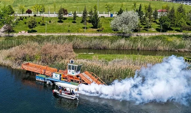 Başkent'te haşerelere geçit yok