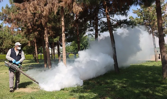 Belediyeden haşereye karşı seferberlik