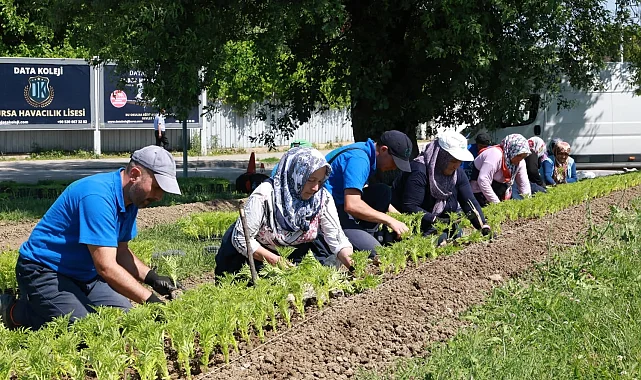 Bursa Osmangazi bu yaz çiçek kokacak