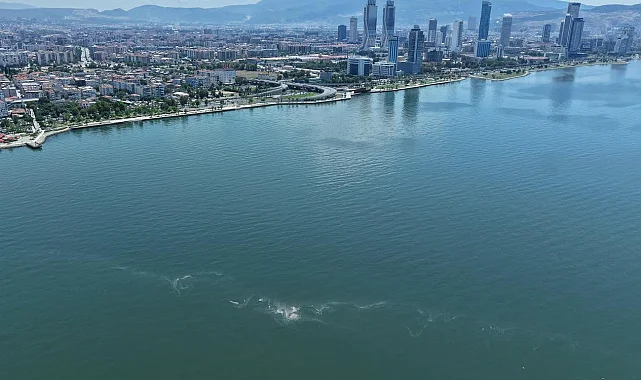 İzmir Körfezi'nde 14'üncü kirlilik tespiti