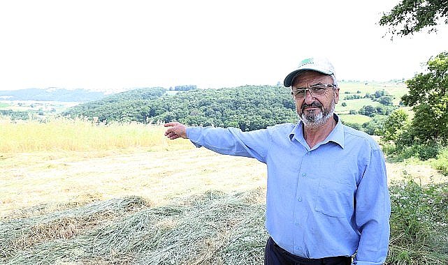 Kocaeli'de “süt otu