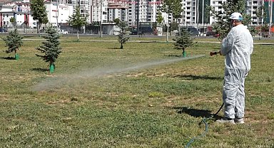 Malatya'da vektörel mücadele sürüyor