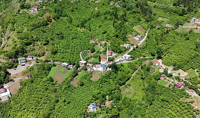 Trabzon Maçka'da içme suyu sorunu çözülüyor