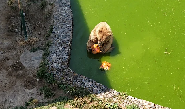 Anadolu Harikalar Diyarı Hayvanat Bahçesi'nde yaz tedbiri