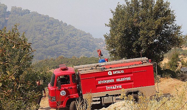 Büyükşehir ekipleri orman yangınına müdahale ediyor