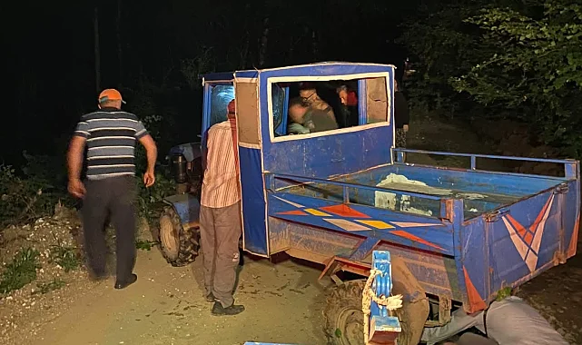 Düzce Yığılca'da pat pat şarampole uçtu!