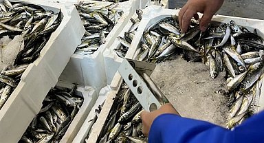 İzmir İl Tarım'dan su ürünlerine sıkı denetim