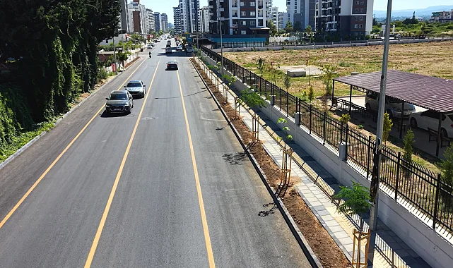 Mersin'de Gazi Paşa Caddesi 420 ağaçla yeşillendi