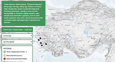 Türkiye'nin "Zeytin Atlası" erişime açıldı