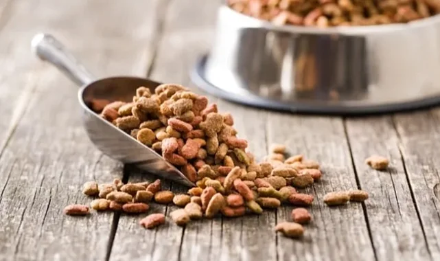 Yeni yapılan 31 bilimsel araştırmaya göre, vegan köpek maması ve vegan kedi mamasının iyi sindirildiğini ortaya koydu
