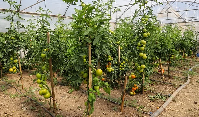 Eskişehir'de Çiftçi Destekleme ve Eğitim Merkezi kuruluyor
