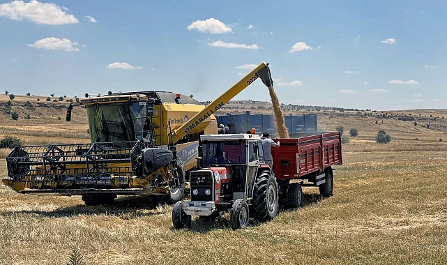 Kayseri Talas'ta can dostlara yem desteği