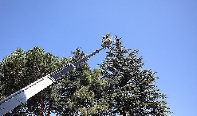 Osmangazi'de Yeşil Alanlar Titizlikle Korunuyor