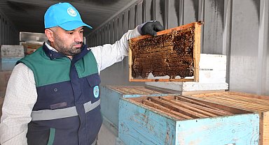 Manisa'da arıcıların peteklerine eksi 30 derecelik koruma
