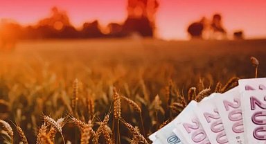TMO'dan üreticiye 4,5 milyar TL'lik ödeme